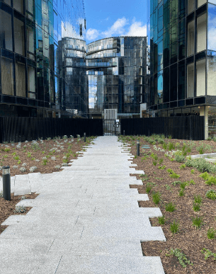 Grey granite stepping stone path with clean edges surrounded by mulch and native plants in a high-rise commercial zone